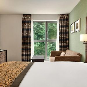 Premium Queen Room sofa bed